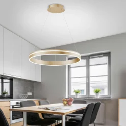 Pendelleuchten>Paul Neuhaus LED-Pendelleuchte 1flg goldfarben