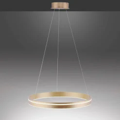 Pendelleuchten>Paul Neuhaus LED-Pendelleuchte 1flg goldfarben