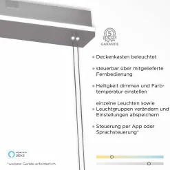 Paul Neuhaus LED-Pendelleuchte 5flg silberfarben^ Pendelleuchten