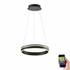 Pendelleuchten>Paul Neuhaus LED-Pendelleuchte 1flg schwarz