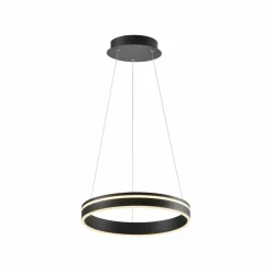 Pendelleuchten>Paul Neuhaus LED-Pendelleuchte 1flg schwarz
