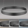 Paul Neuhaus LED-Pendelleuchte 2flg grau^ Pendelleuchten