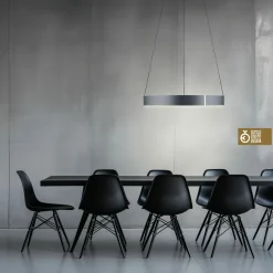 Paul Neuhaus LED-Pendelleuchte 2flg grau^ Pendelleuchten