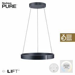 Paul Neuhaus LED-Pendelleuchte 2flg grau^ Pendelleuchten