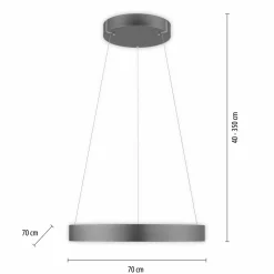 Paul Neuhaus LED-Pendelleuchte 2flg grau^ Pendelleuchten