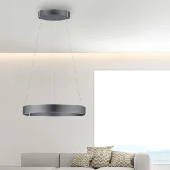 Paul Neuhaus LED-Pendelleuchte 2flg grau^ Pendelleuchten