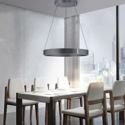 Paul Neuhaus LED-Pendelleuchte 2flg grau^ Pendelleuchten