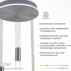 Pendelleuchten>Paul Neuhaus LED-Pendelleuchte 4flg silberfarben