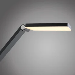 Paul Neuhaus LED-Stehleuchte 1flg grau^ Stehleuchten