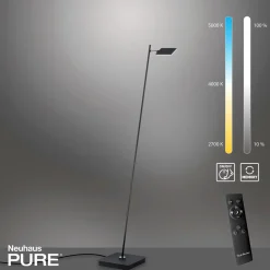 Stehleuchten>Paul Neuhaus LED-Stehleuchte 1flg schwarz