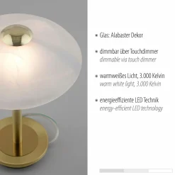 Paul Neuhaus LED-Tischleuchte 1flg goldfarben^ Tischleuchten