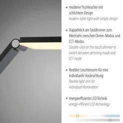 Paul Neuhaus LED-Tischleuchte 1flg grau^ Tischleuchten