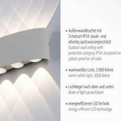 Außenwandleuchten|Außenleuchten>Paul Neuhaus LED-Wandleuchte 10flg silberfarben