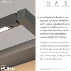 Paul Neuhaus LED-Wandleuchte 1flg grau^ Wandleuchten