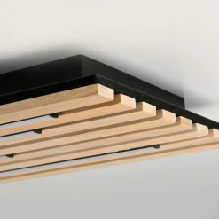 Paul Neuhaus LED-Wand-u. Deckenleuchte 1flg braun^ Wandleuchten