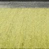 Moderne Teppiche>Paulig Handwebteppich grün