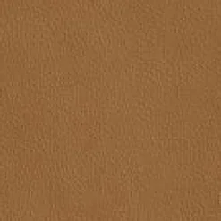 Esszimmerstühle><noscript><img width=