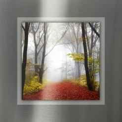 Wandbilder>Pro Art Aludibond 50x50cm mehrfarbig