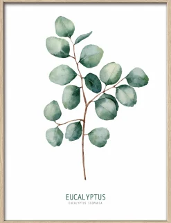 Wandbilder>Pro Art Kunstdruck gerahmt 32,5x42,5cm mehrfarbig