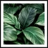 Pro Art Kunstdruck gerahmt 28x28cm mehrfarbig^ Wandbilder