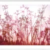 Pro Art Kunstdruck gerahmt 32.5x42.5cm mehrfarbig^ Wandbilder