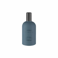 Dekoration|Sonstige Tischaccessoires>Blomus Raumspray