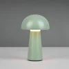 Reality Leuchten LED-Akku-Tischleuchte 1flg grün^ Außen Tischleuchten|Akku Tischleuchten