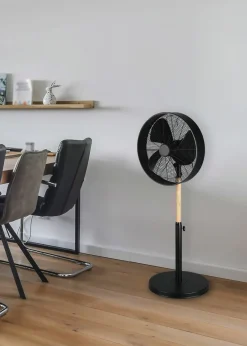 Reality Leuchten Stand - Ventilator schwarz^ Pendelleuchten