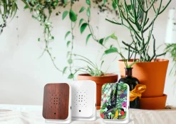 Relaxound Junglebox Wood braun^ Dekoration