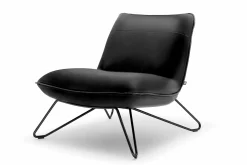 Tv & Relaxsessel>ROLF BENZ Sessel schwarz