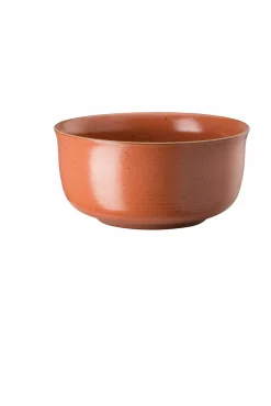 Rosenthal Müslischale 15cm orange^ Schüsseln & Schalen
