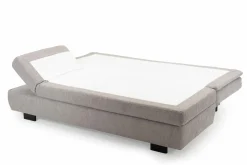 Sofas & Couches|Schlafsofas> Schlafsofa grau