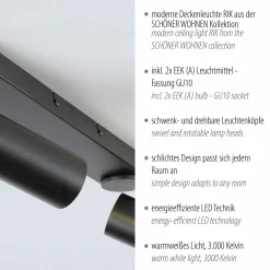 SCHÖNER WOHNEN LED-Deckenleuchte 2flg schwarz^ Deckenleuchten|Spots