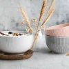 Schüsseln & Schalen>Seltmann 3er Müslischale 15cm mehrfarbig