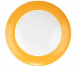 Seltmann Suppenteller 23,5cm orange^ Speiseteller