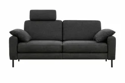 Sofas & Couches> Sofa 2-sitzig grau