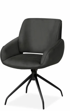 Esszimmerstühle> Stuhl schwarz
