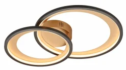 Deckenleuchten>Trio Leuchten LED - Deckenleuchte 1flg schwarz