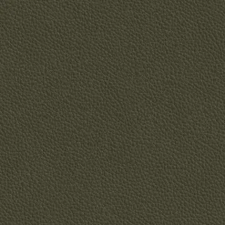 Esszimmerstühle><noscript><img width=