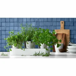 WMF Kräutergarten-Set 3tlg weiß^ Küchenzubehör