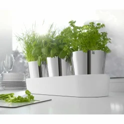WMF Kräutergarten-Set 3tlg weiß^ Küchenzubehör