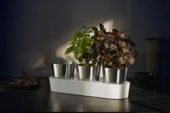 WMF Kräutergarten-Set 3tlg weiß^ Küchenzubehör