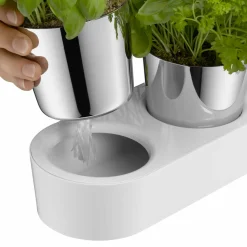 WMF Kräutergarten-Set 3tlg weiß^ Küchenzubehör