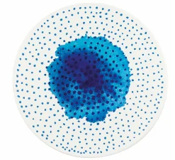 Untersetzer>Zassenhaus Untersetzer 20cm weißblau