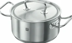 Töpfe>ZWILLING Bratentopf 20cm silberfarben